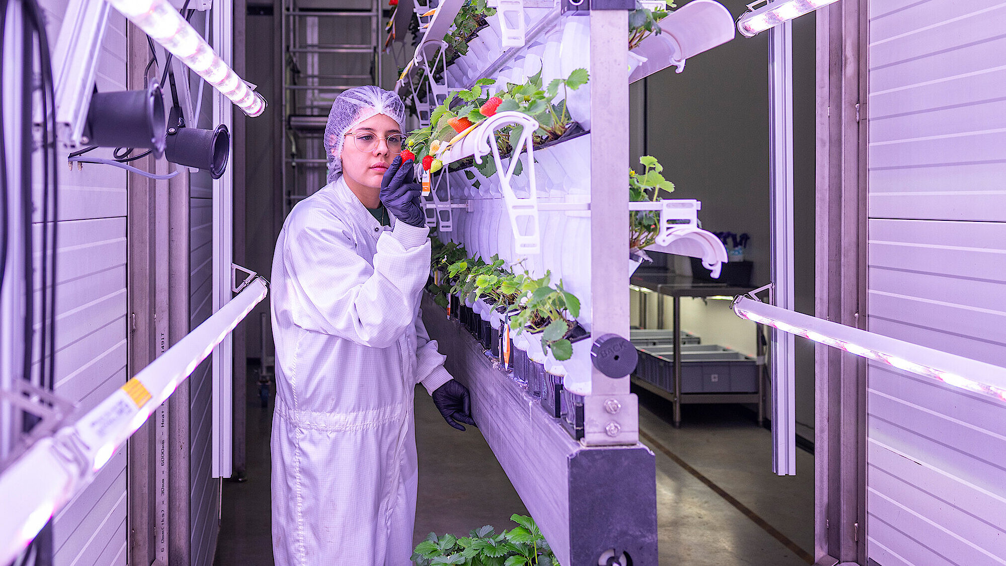 Future technology for sustainable agriculture